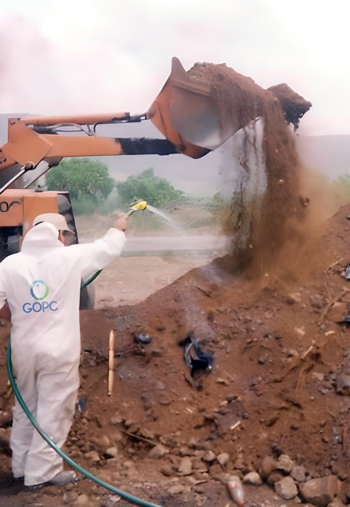 pareja-joyeria-eligiendo-anillo-juntos 1